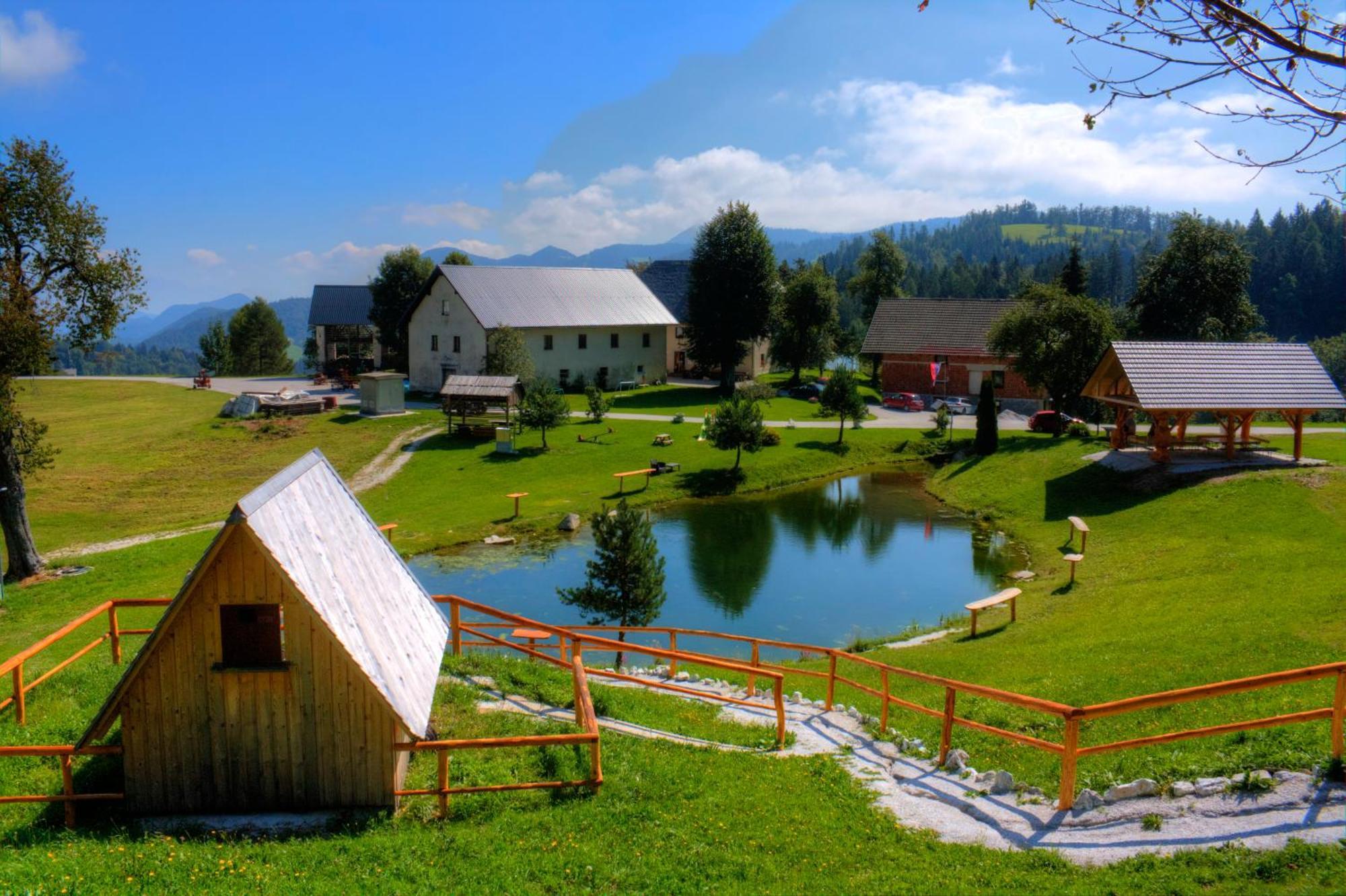 Wooden Chalet - Homestead Vrhovc Zelezniki Dış mekan fotoğraf